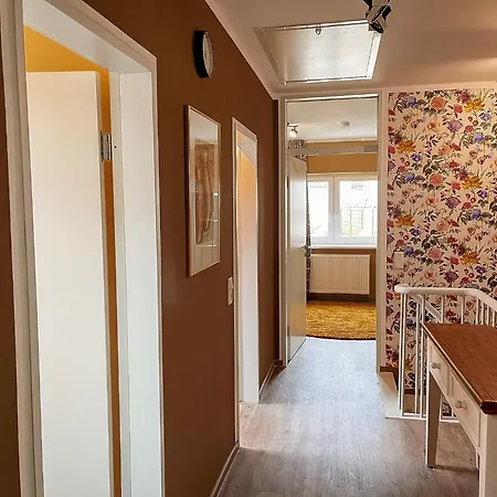 Apt. Prinz Maximilian | Zentrum | Zimmerprinzen 奥尔登堡